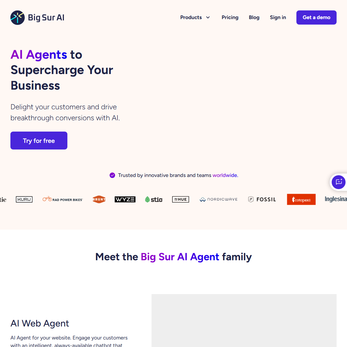 Big Sur AI - e-commerce Tool Screenshot