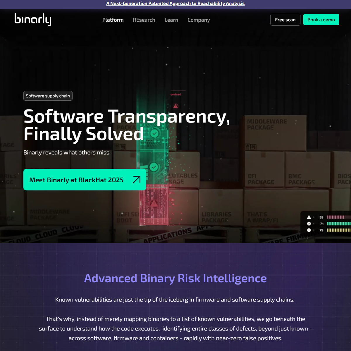 BINARLY - AI detection Tool Screenshot