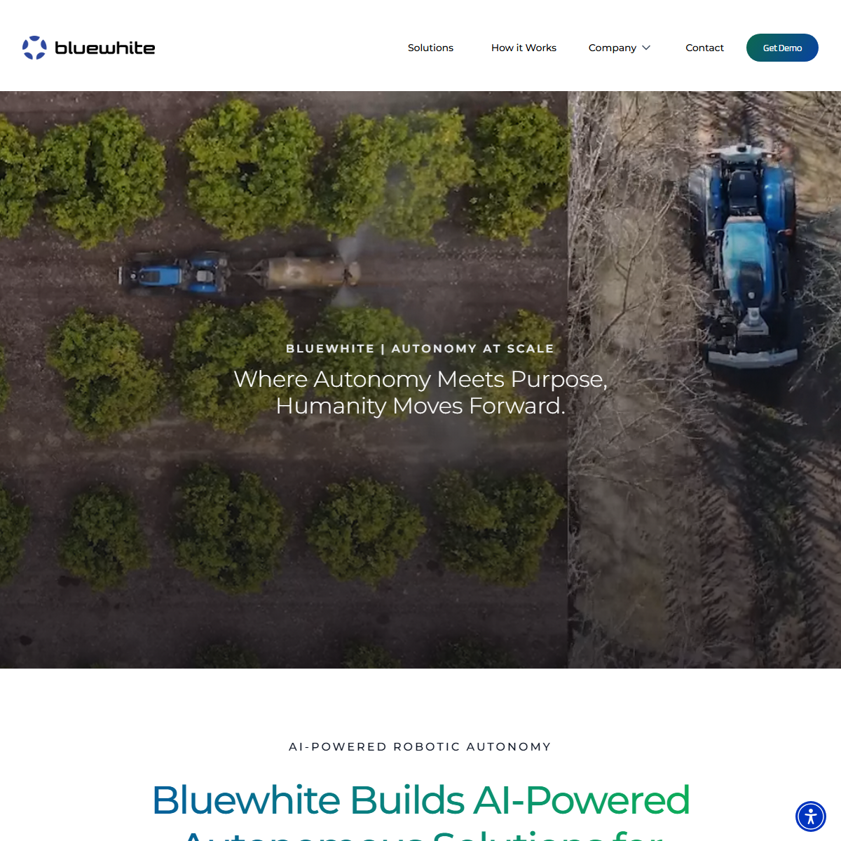 Bluewhite - research Tool Screenshot