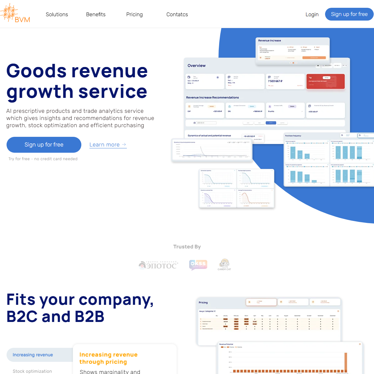 BVM - sales assistant Tool