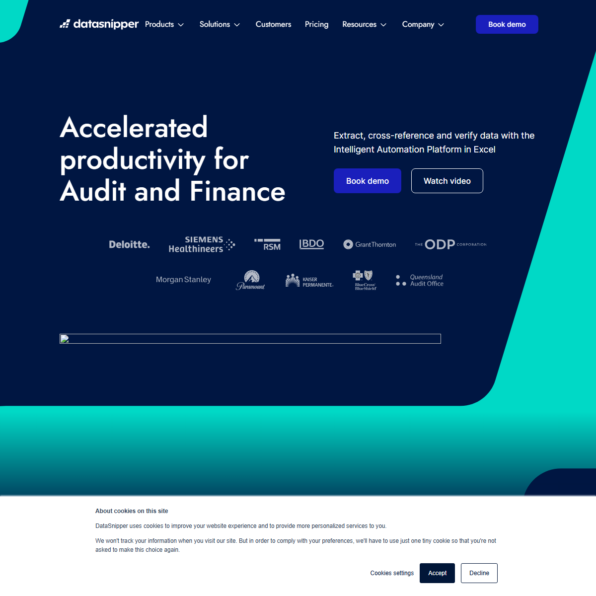 DataSnipper - finance Tool Screenshot