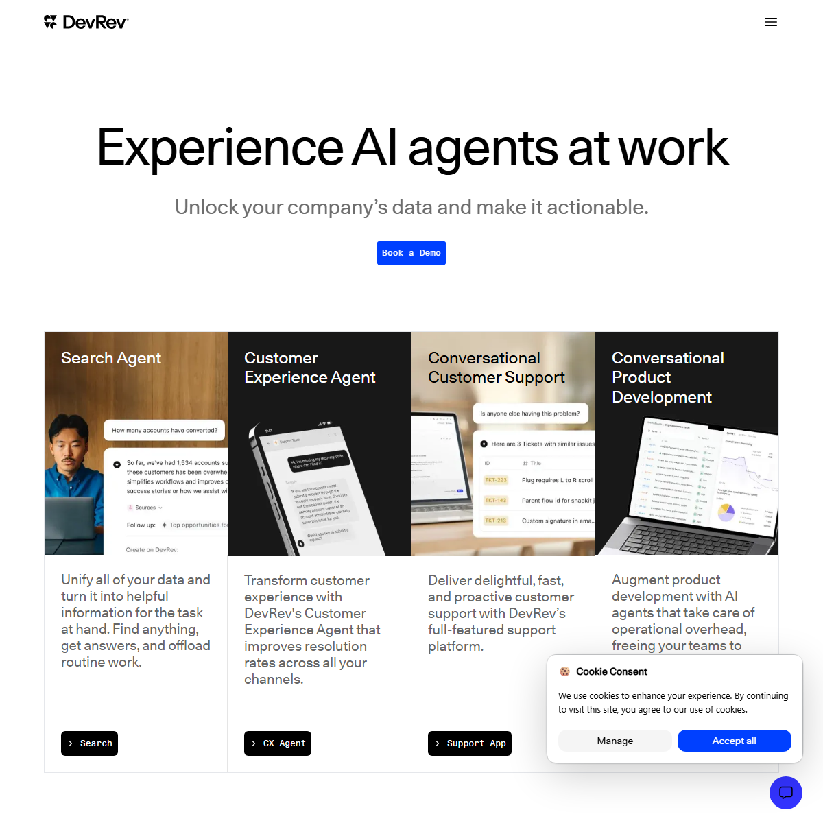 DevRev - customer support Tool Screenshot