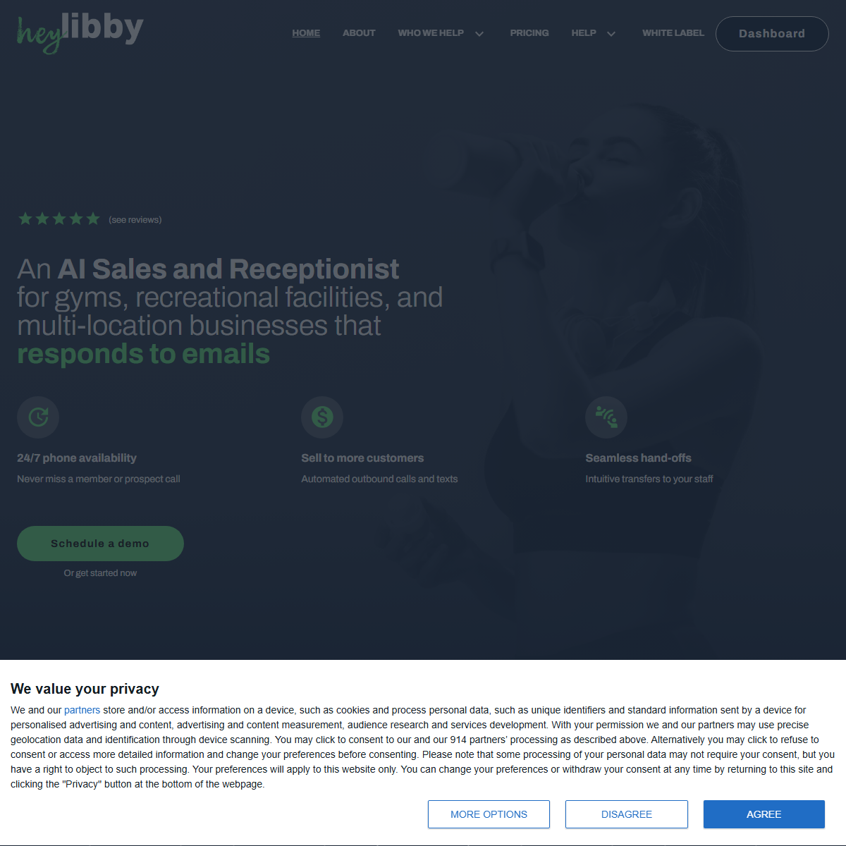 Heylibby.ai - sales assistant Tool Screenshot