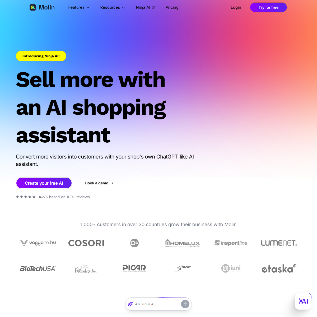 Molin AI - customer support Tool
