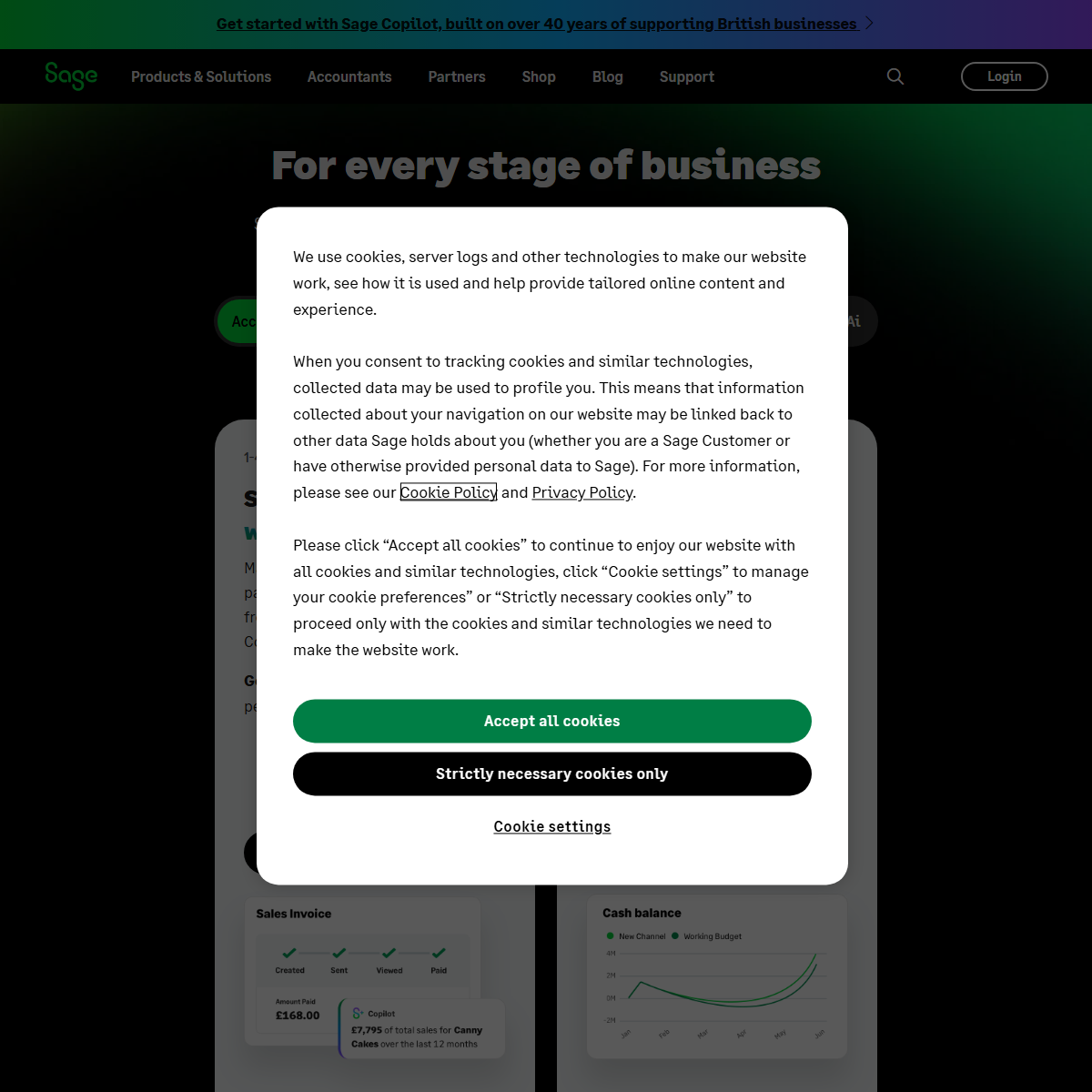 Sage AI - finance Tool Screenshot