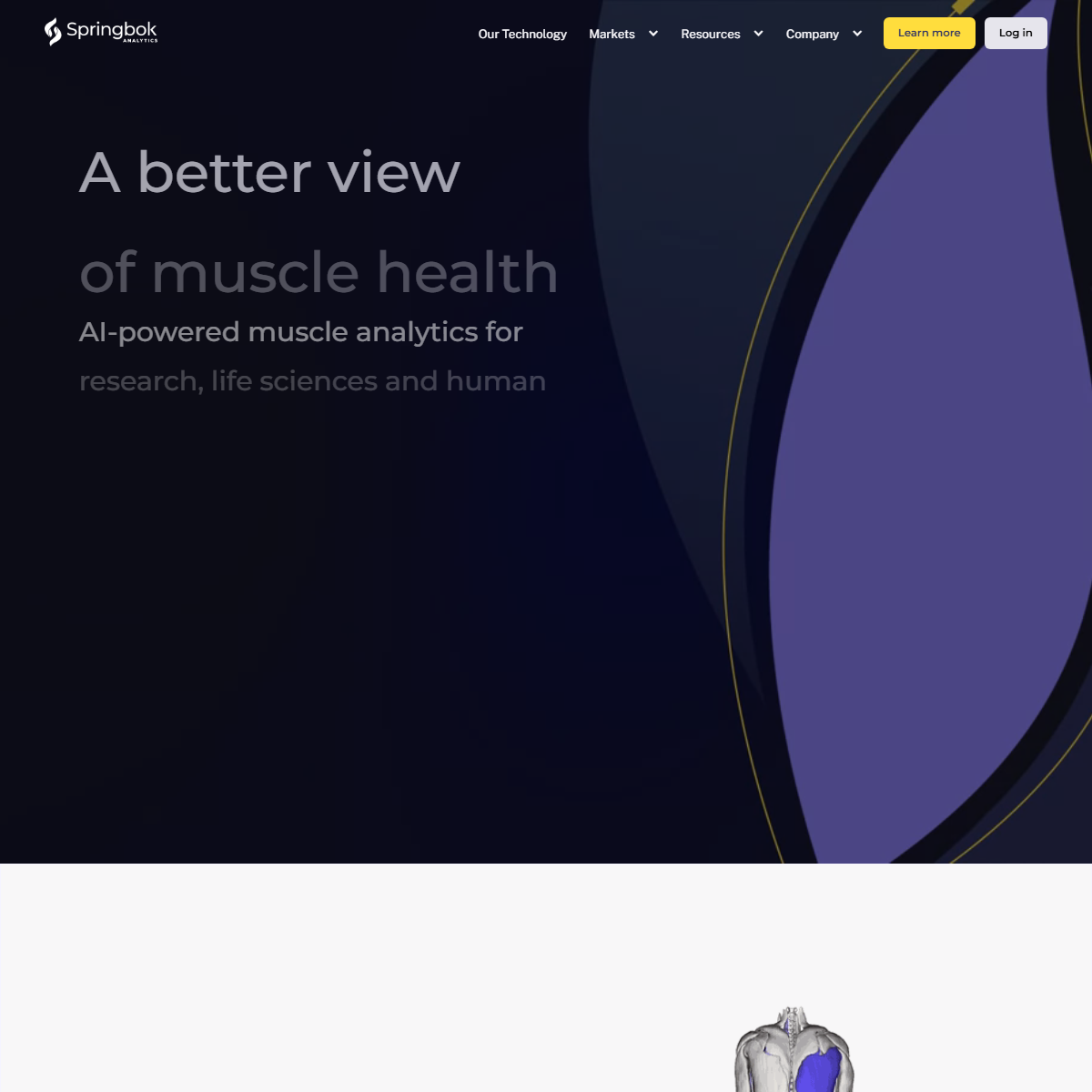 Springbok Analytics - health Tool Screenshot