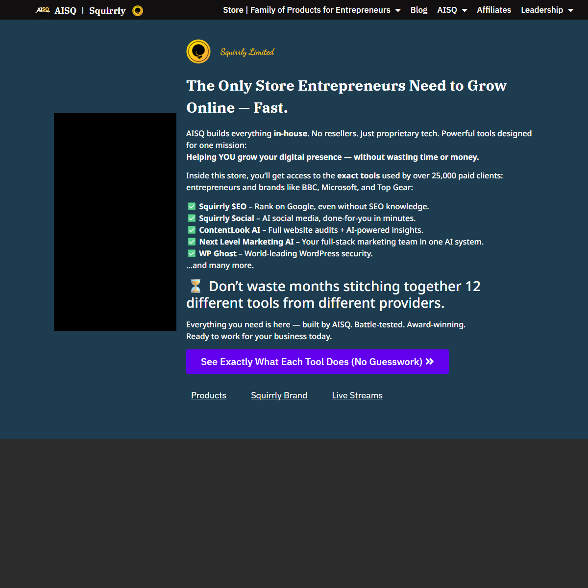 Squirrly SEO - SEO Tool Screenshot