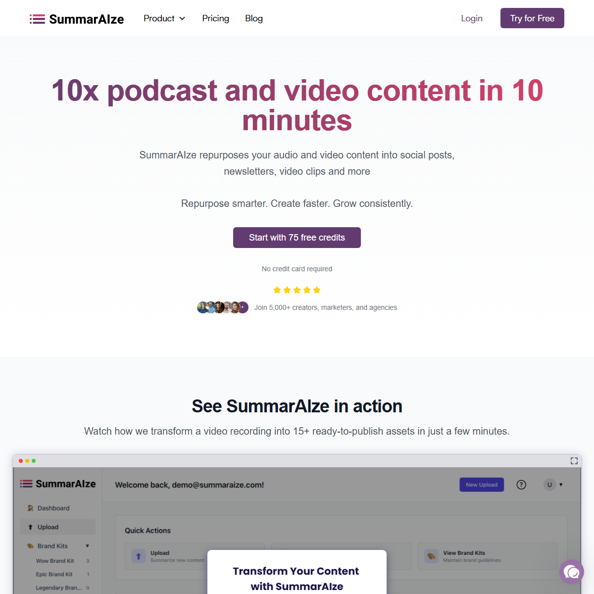 SummarAIze - summarizer Tool Screenshot