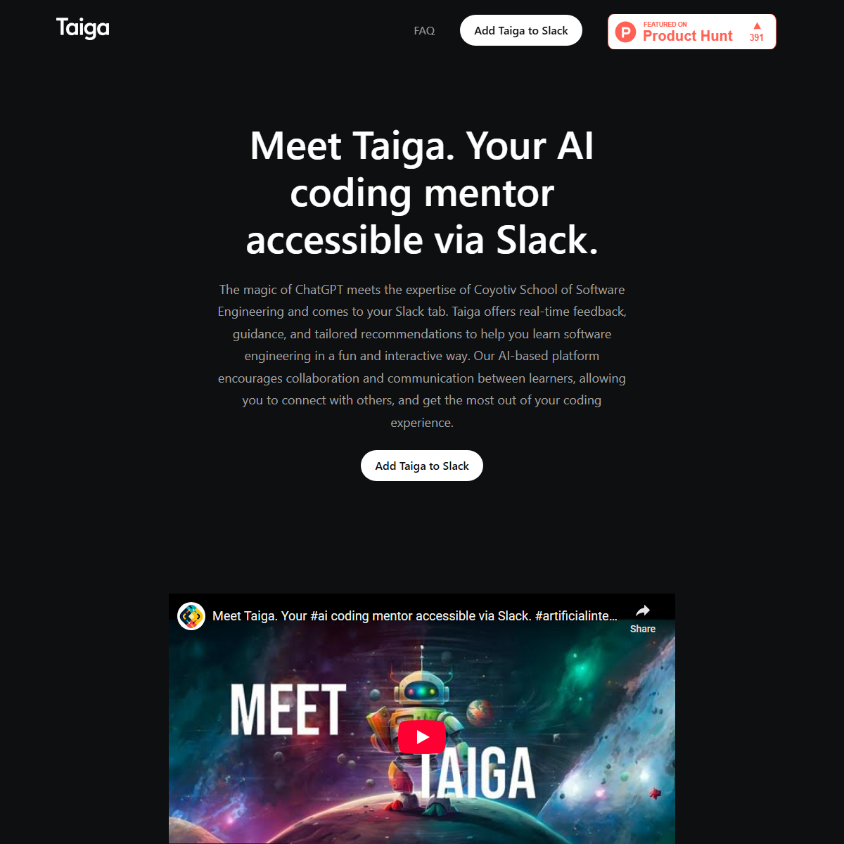 Taiga - code assistant Tool Screenshot